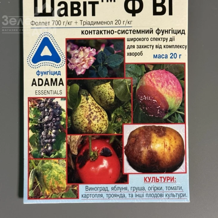 Шавит Ф / Shavit F, ВГ фото 3