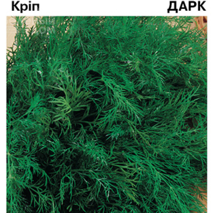 Дарк / Dark фото 1