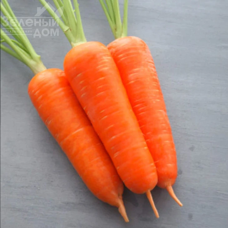 Амурина F1 (TCH - 787) / Amourina F1 фото 1