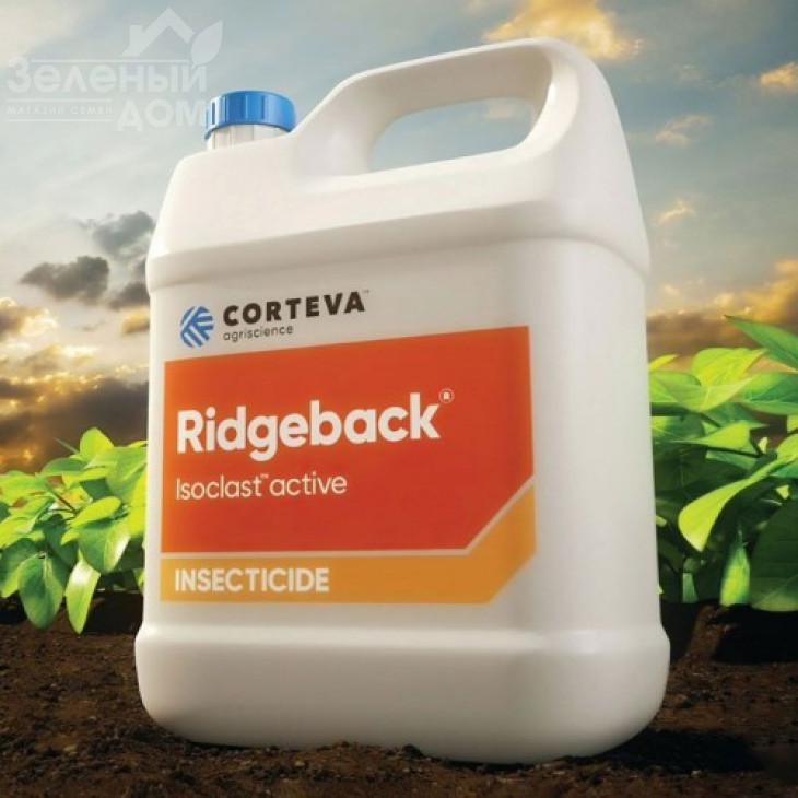 Ріджбек / Ridgeback, СЕ фото 1