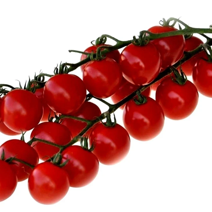 Конори F1 / Konori F1,95-100 дней фото 1