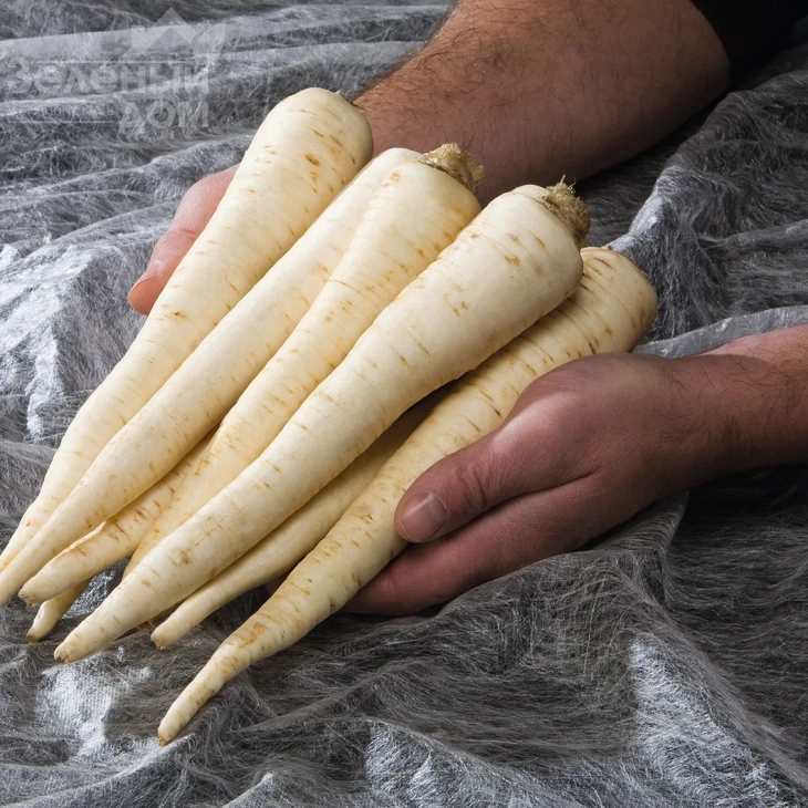 Игл / Eagl,135 дней фото 2