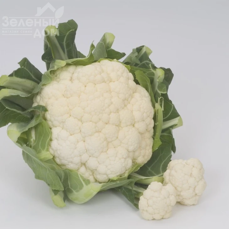 Барселона F1 / Barcelona F1,75-80 дней фото 1