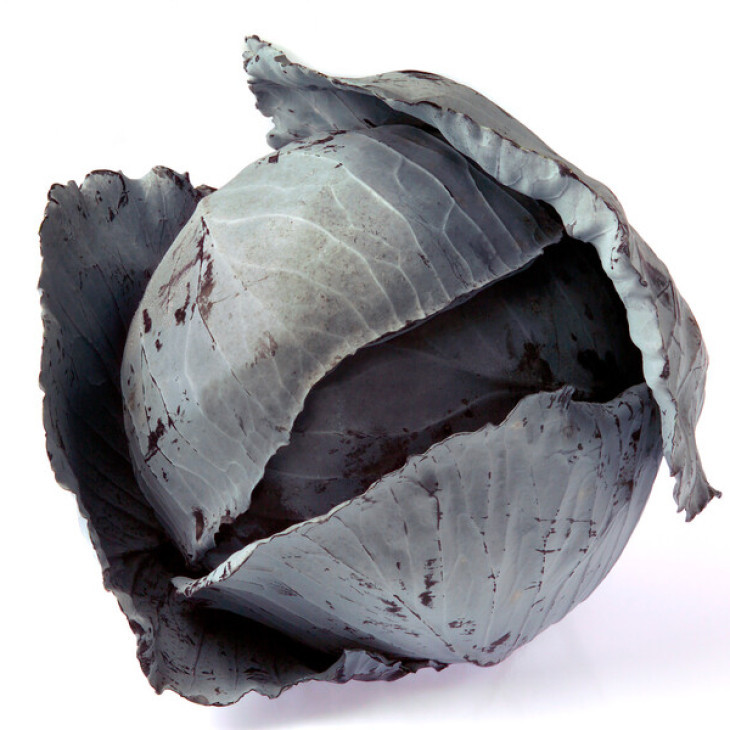 Футуріма F1 / Futurima F1, 125-140 днів фото 3