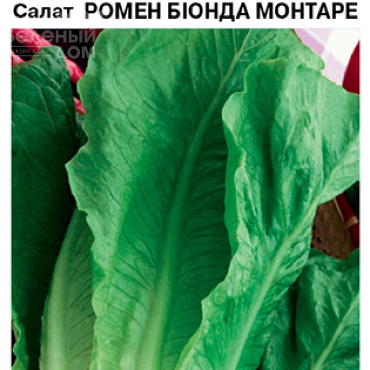 Ромен Біонда Монтаре / Romen Bionda Montare фото 1