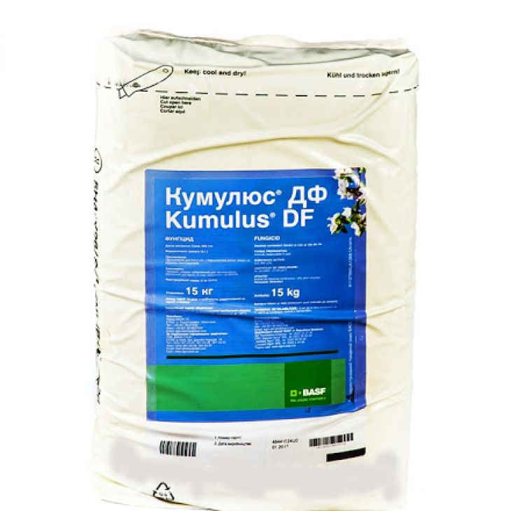 Кумулюс ДФ / Kumulus DF фото 1