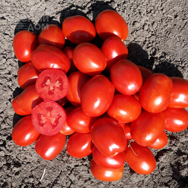 Н0507 F1 / Н0507 F1 фото 1