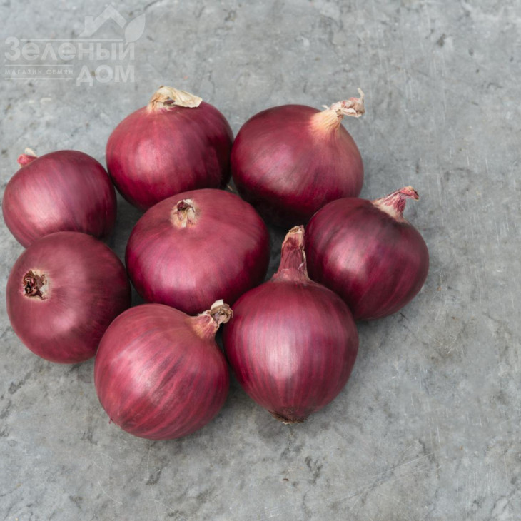 Ред Булл F1 / Red Bull F1,115-120 днів фото 1