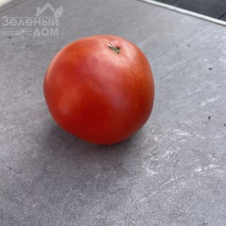 Стронг F1 / Strong F1, 115 днів фото 4