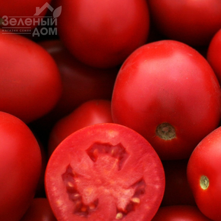 П'єтра Росса F1 / Petra Rossa F1,115 днів фото 4