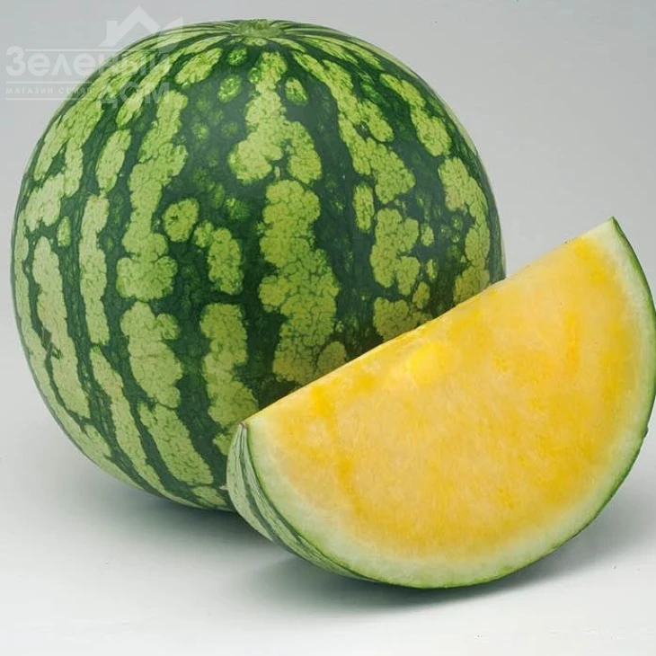 Пекин F1 / Pekin F1 фото 1