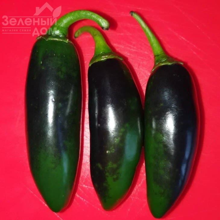 Моджаве F1 / Modzhave F1 фото 6