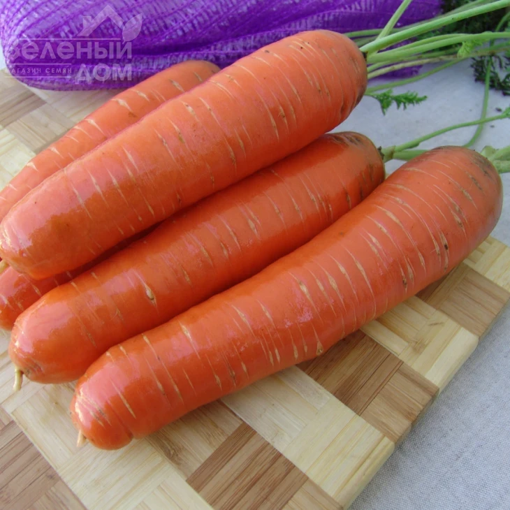 Кнота F1 / Knota F1, 95-100 дней фото 1