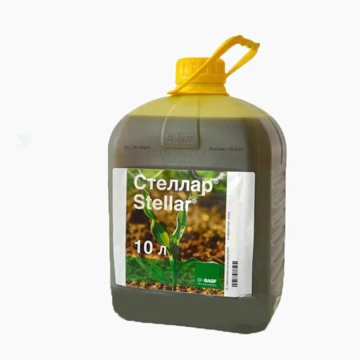 Стеллар / Stellar, ВР фото 1