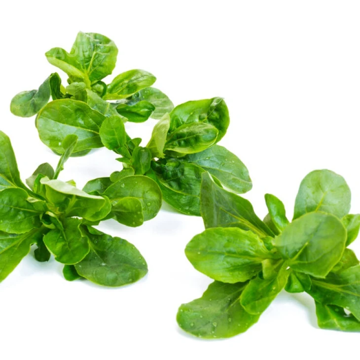 Вейрон / Veyron фото 4