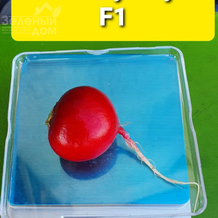 Кранч Роял F1 / Kranch Royal F1, 20 - 25 днів фото 2