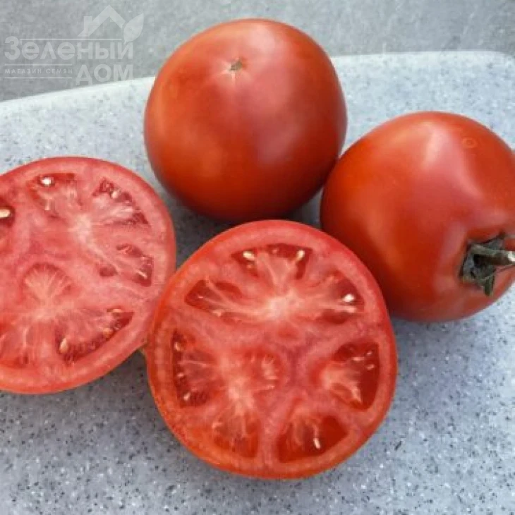 Хард Рок F1 / Hard Rok F1, 110 дней фото 3