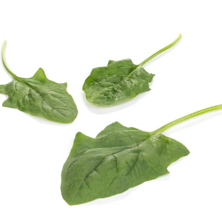 Пума F1 / Puma F1 фото 2