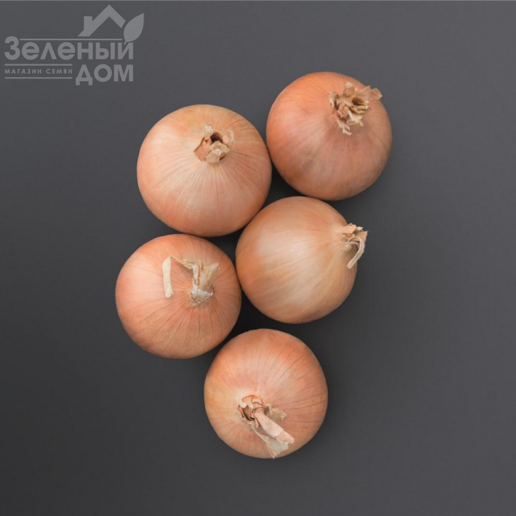 Онеїда F1 / Oneida F1 фото 1