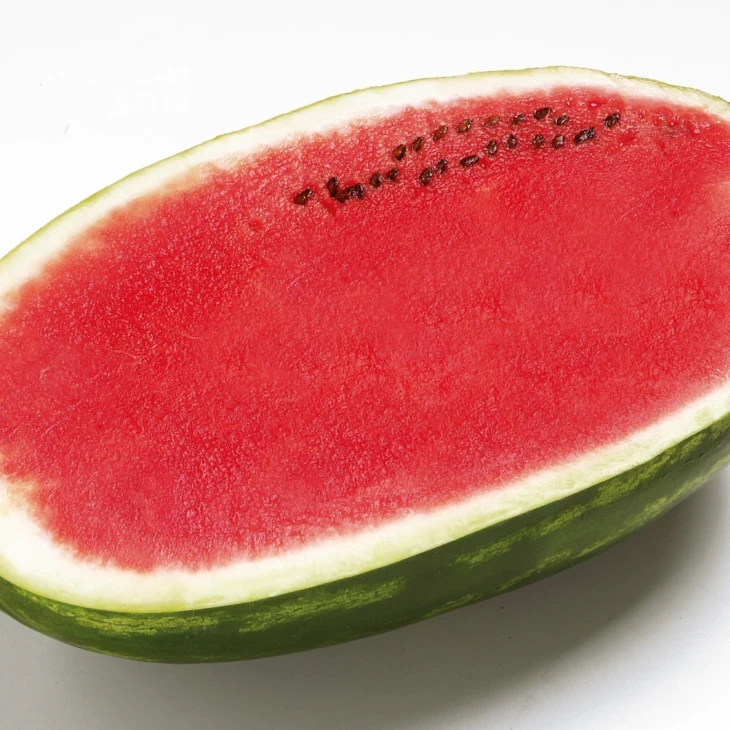 Фарао F1 / Farao F1,62-64 дня фото 1