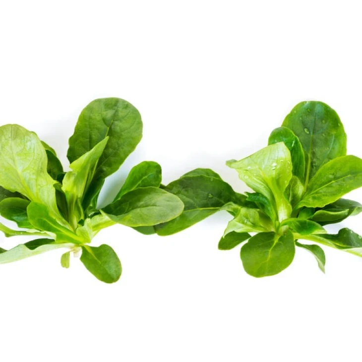 Вейрон / Veyron фото 1