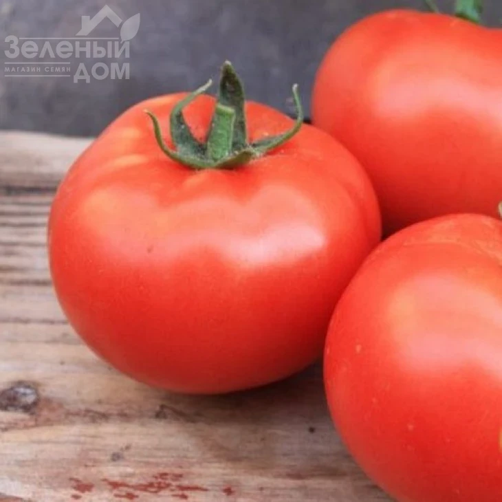 Хиларио F1 / Hilario F1,90-100 дней фото 1