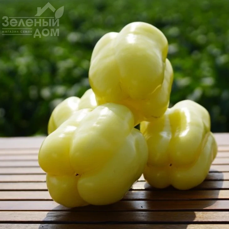 Никита F1 / Nikita F1,70 дней фото 4