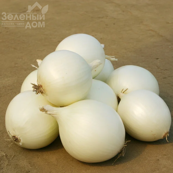 Комета F1 / Cometa F1,115-120 днів фото 3