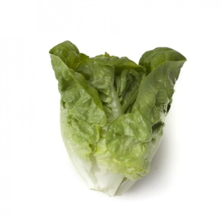 Тудела / Tudela фото 1