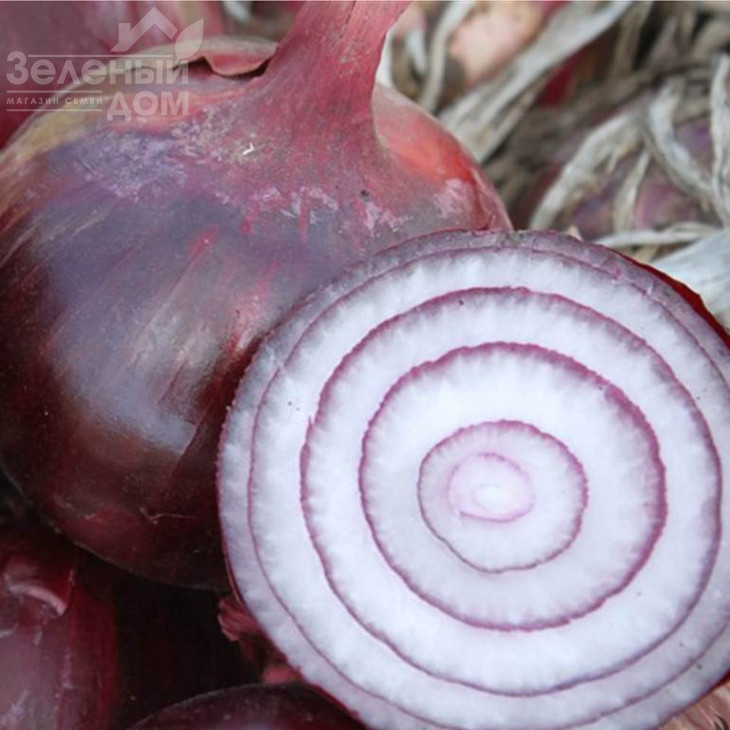 Ройо Дуро F1 / Rojo Duro F1, 120-125 днів фото 1