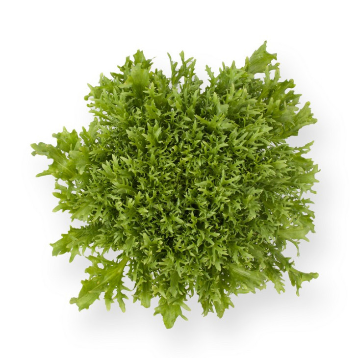 Корбі / Korbi фото 1