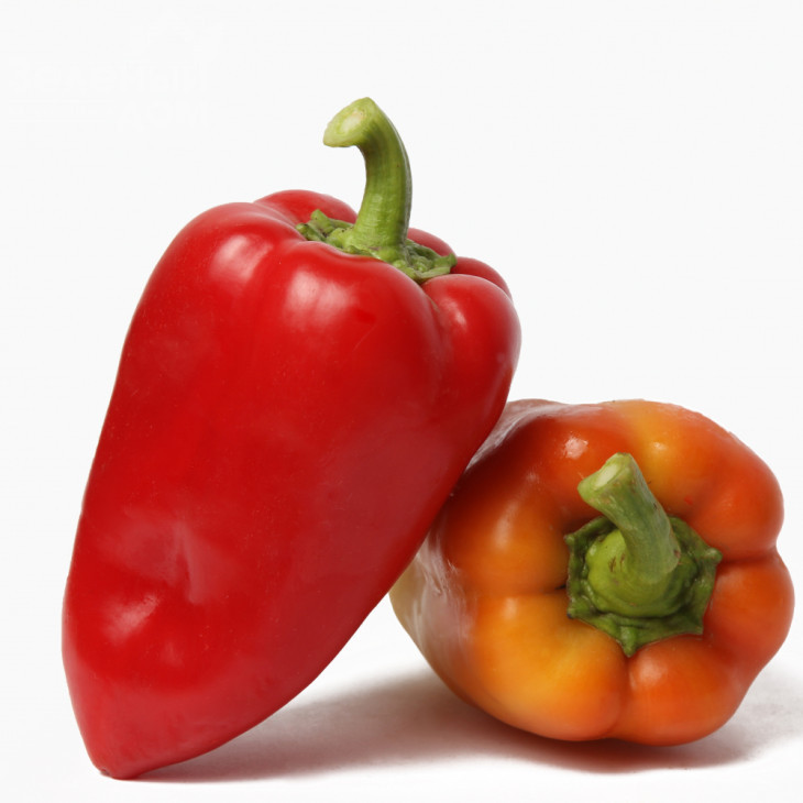 Арбалет F1 / Arbalet F1, 70-75 днів фото 1