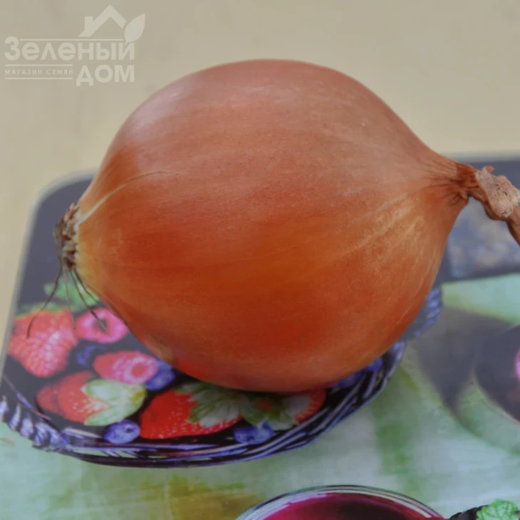 ЕЗ 1104  F1 / EZ 1104  F1 фото 2