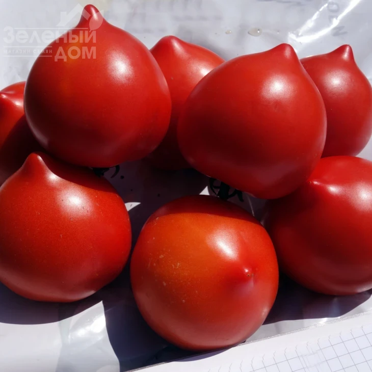 Тапер F1 / Taper F1 фото 1