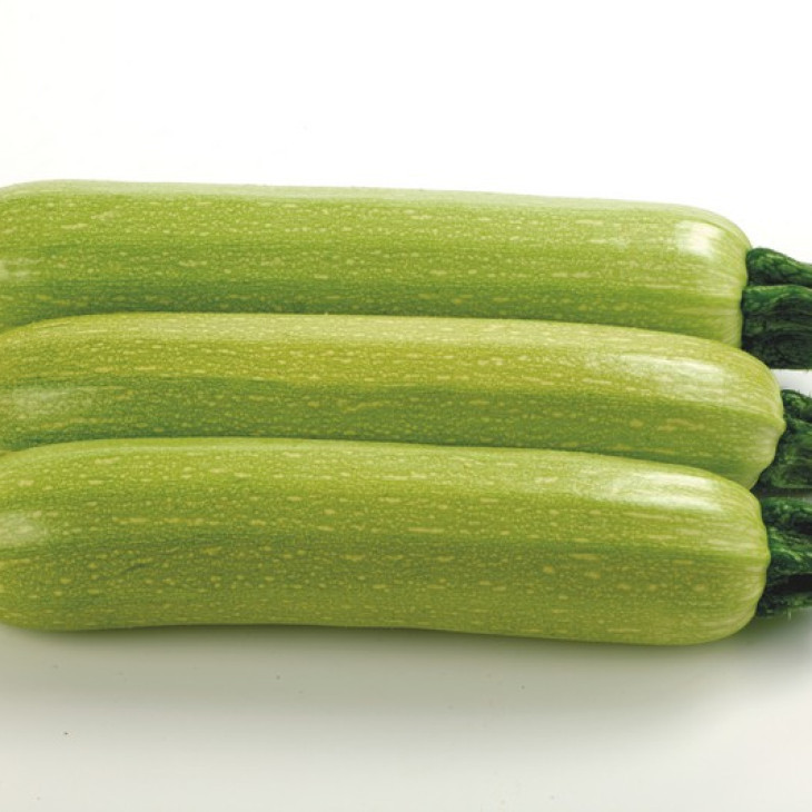 Ісмаліа F1 / Ismalia F1,40-45 днів фото 1