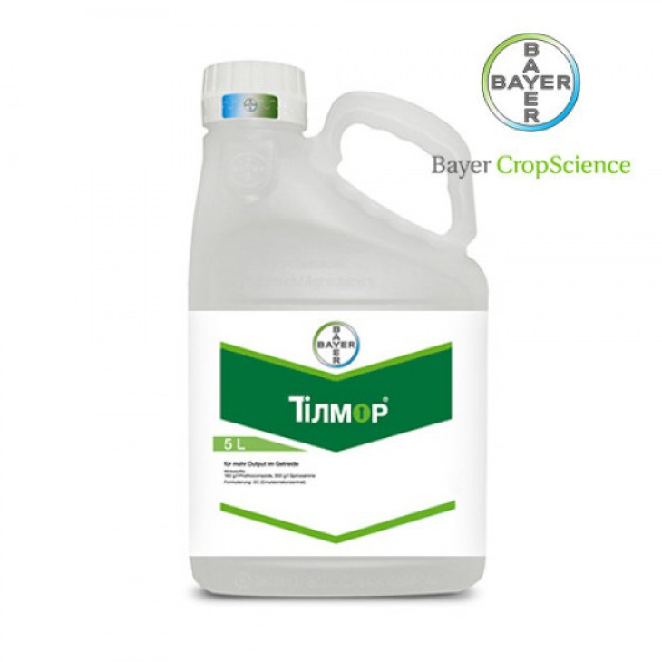 Тілмор / Tilmor фото 1