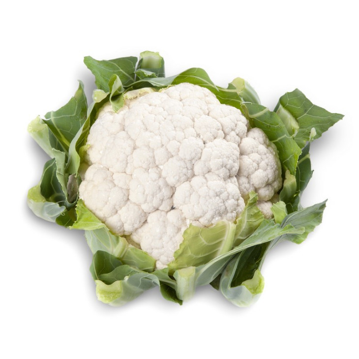 Белькур F1 / Belcourt F1,70-85 днів фото 2