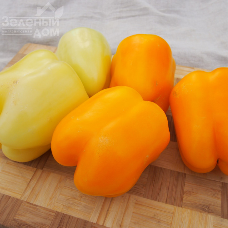 Тесла F1 / Tesla F1 фото 1