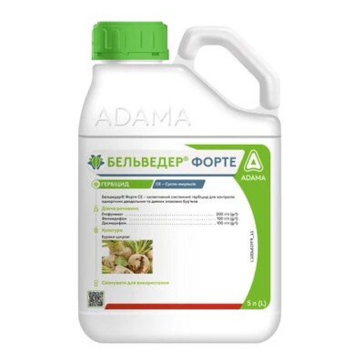 Бельвердер Форте / Belverder Forte фото 1