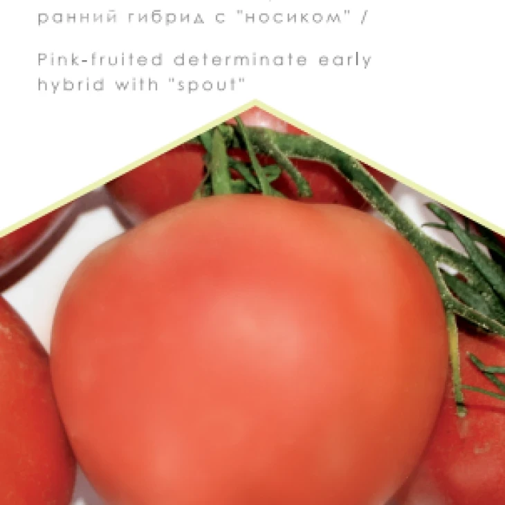 Пальмира F1 / Palmira F1, 90-93 дня фото 1