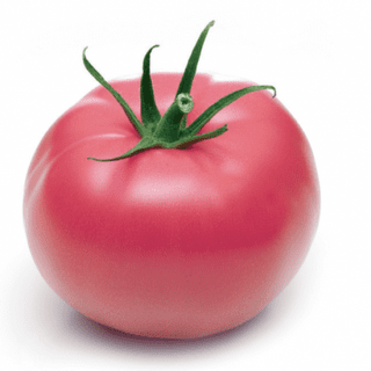 Пінк Леді F1 / Pink Girl F1, 76 днів фото 1