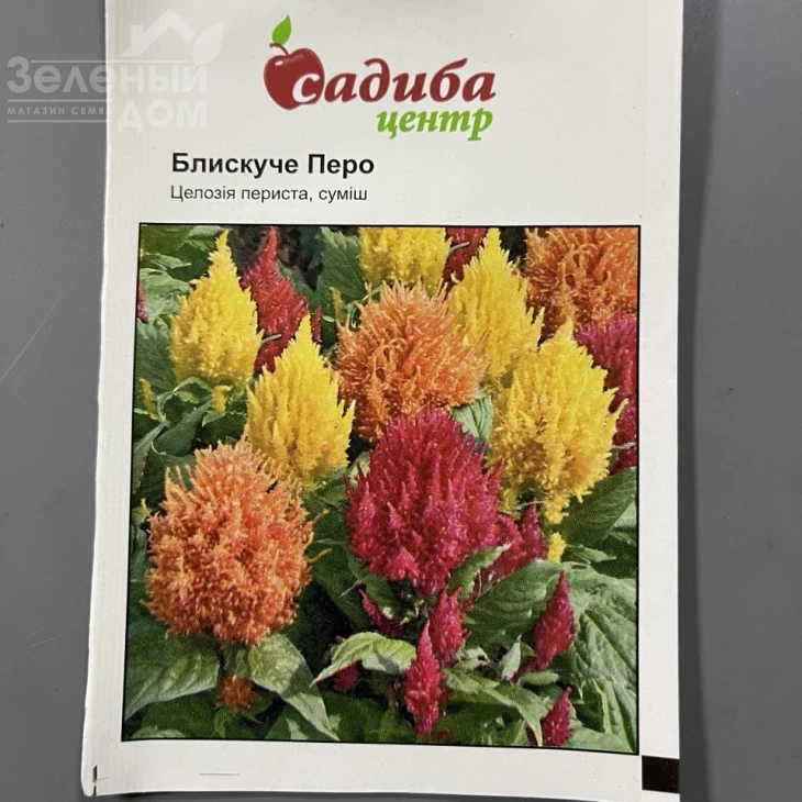 Целозия перистая Блестящее Перо (смесь) фото 1