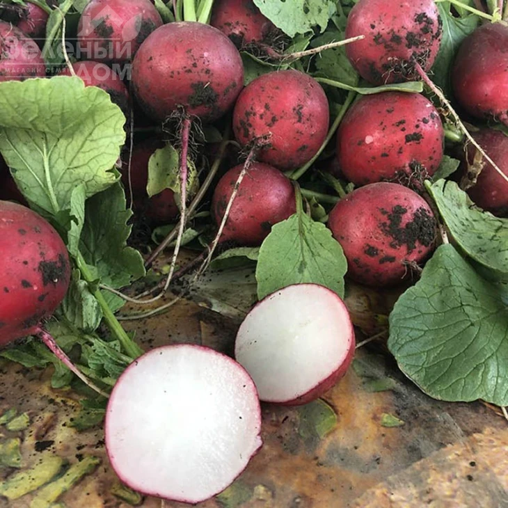 Марвел F1 / Marvel F1 фото 1