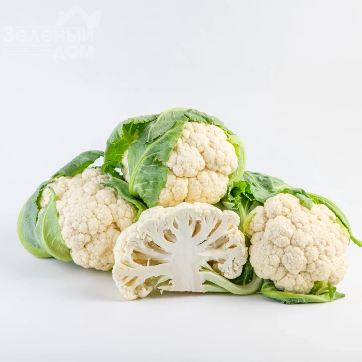 Абени F1 / Abeni F1,63 дня фото 4