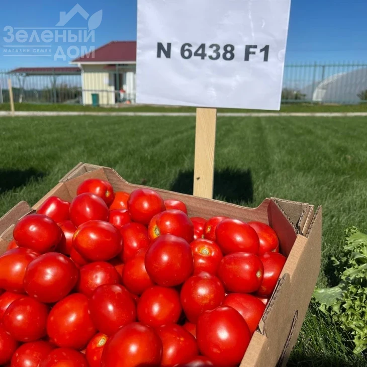 Н6438 F1 / N6438 F1 фото 8