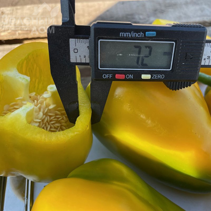 Санта F1 / Santa F1,60 днів фото 2