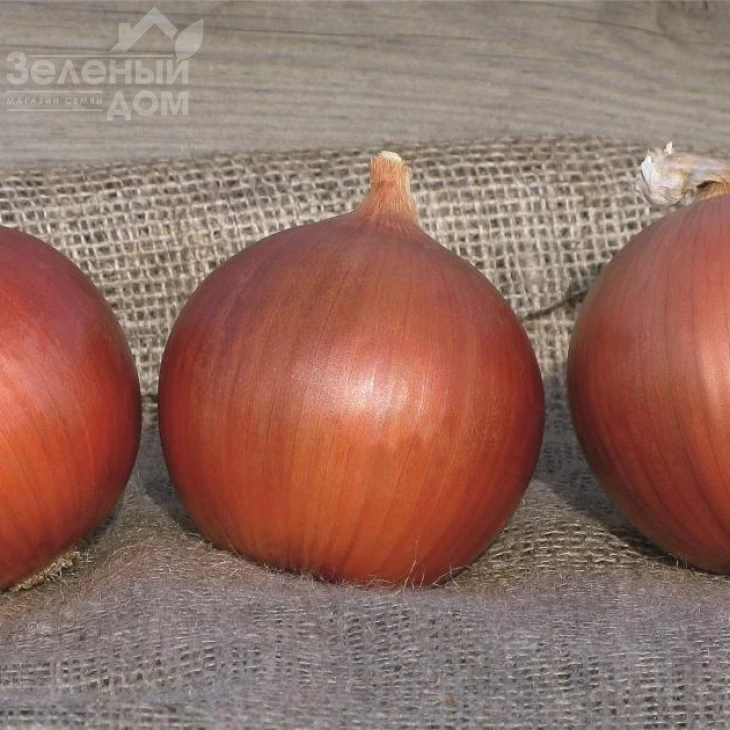 Сонома F1 / Sonoma F1,115-120 дней  фото 1