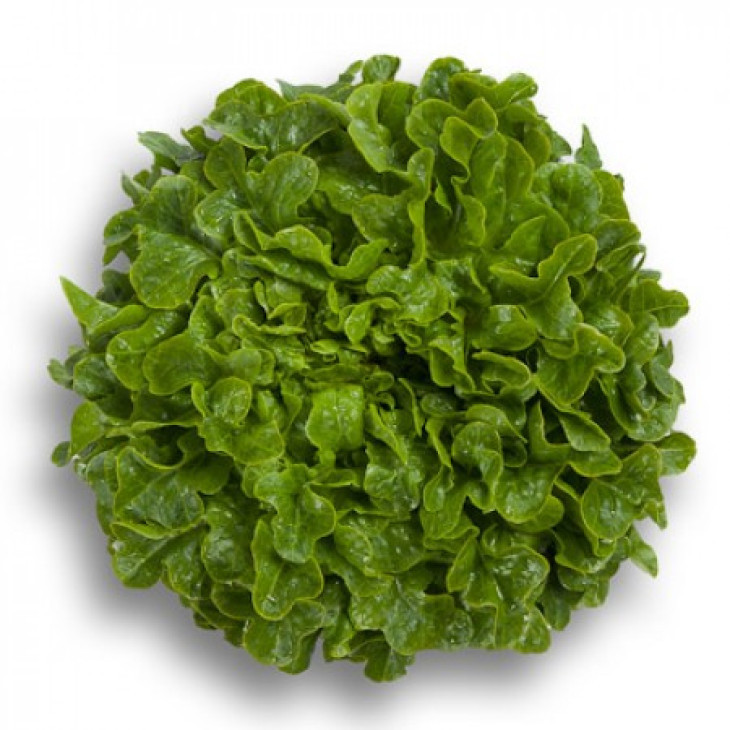 Гумбольдт / Humboldt фото 1