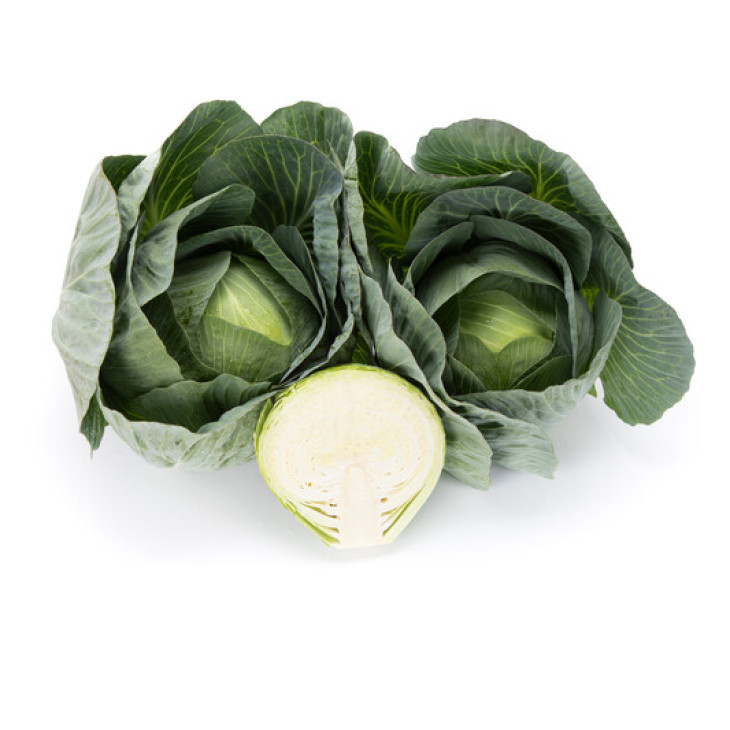 Лонгма F1 / Longma F1, 140-150 днів фото 4