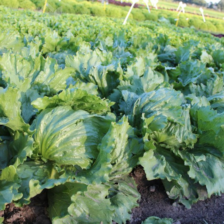 Едуардо / Eduardo фото 2